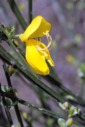 Similar image 7979213