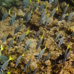 Similar image 7979214