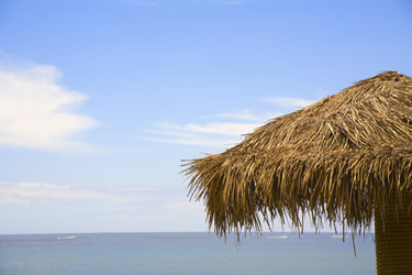 Similar image 7979218