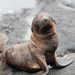 Similar image 7979223