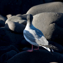 Similar image 7979227