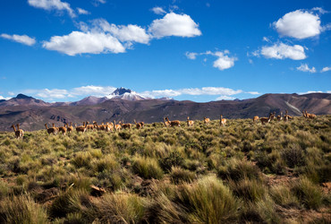 Similar image 7979229