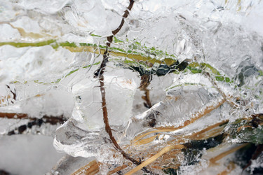 Similar image 7979238