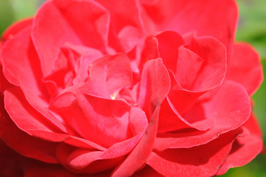 Similar image 7979243