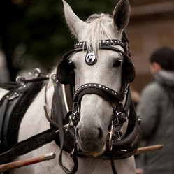 Similar image 7979259