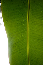 Similar image 7979264