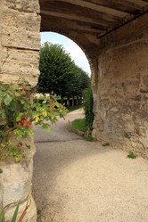 Similar image 7979284