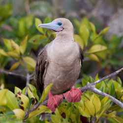 Similar image 7979289