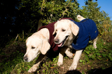 Similar image 7979290