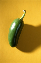 Similar image 7979297