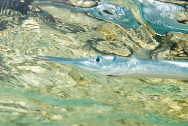 Similar image 7979310