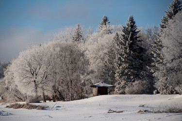 Similar image 7979321