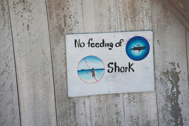 Similar image 7979324