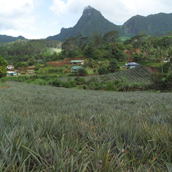 Similar image 7979326