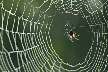 Similar image 7979330