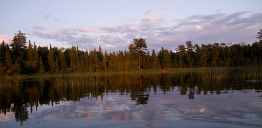 Similar image 7979337