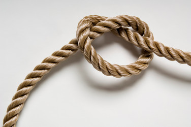 Similar image 7979343