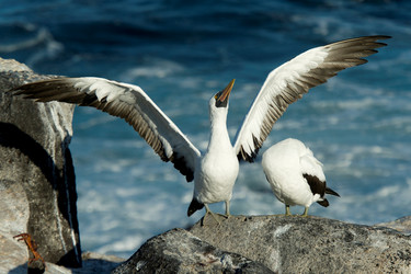 Similar image 7979347