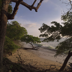 Similar image 7979357