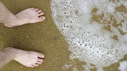 Similar image 7979364