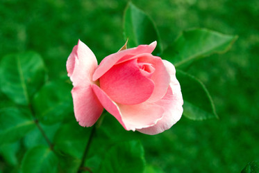 Similar image 7979368