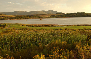 Similar image 7979374