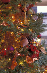 Similar image 7979378