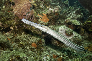 Similar image 7979385