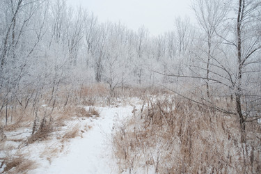 Similar image 7979390