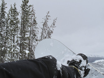 Similar image 7979391