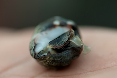 Similar image 7979396