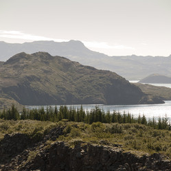 Similar image 7979413