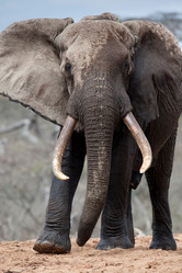 Similar image 7979422