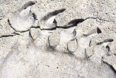 Similar image 7979425