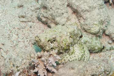 Similar image 7979427