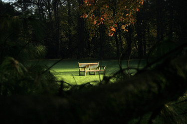 Similar image 7979466