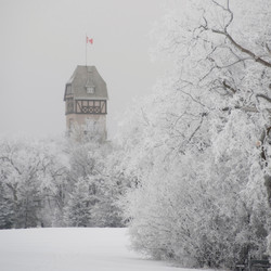 Similar image 7979471