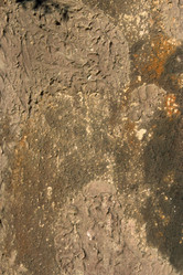 Similar image 7979472