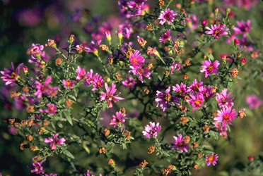 Similar image 7979475