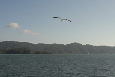 Similar image 7979484