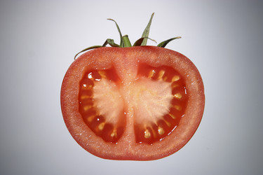 Similar image 7979486