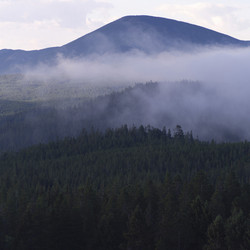 Similar image 7979490