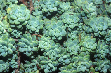 Similar image 7979496