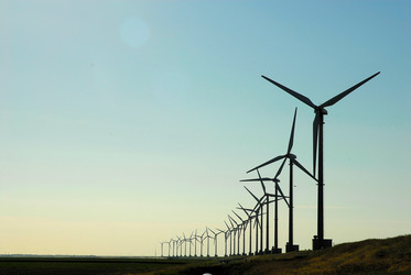 Similar image 7979499