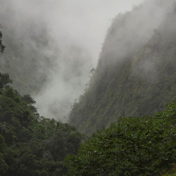 Similar image 7979521