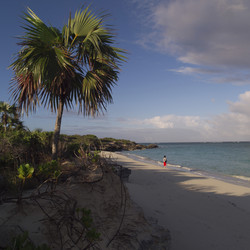 Similar image 7979522