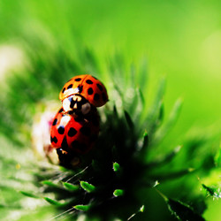 Similar image 7979524