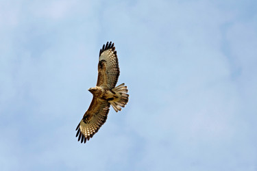 Similar image 7979535