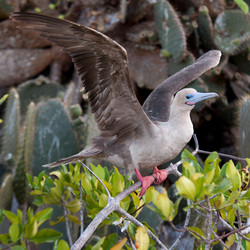 Similar image 7979539