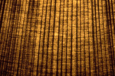 Similar image 7979549